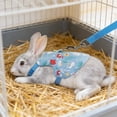 thumbnail image 2 of Bunny Harness and Leash Set for Rabbits & Small Pets - Escape-Proof Rabbit Harness with Adjustable Clothes - Soft Bunny Leash for Guinea Pigs, Ferrets & More, 2 of 6