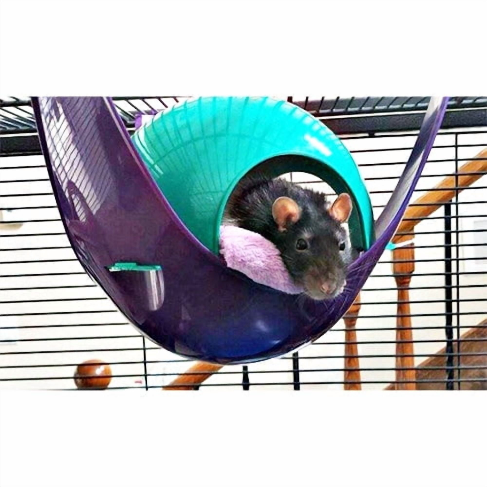 Exotic Nutrition Jungle Canopy Toy Bundle - Colorful Interactive Climbing Forage Cage Accessory Toy Set - for Sugar Gliders, Rats, Ferrets, Hamsters, Squirrels, Parrots, Birds, Marmosets, Degus, Monk
