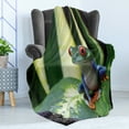 thumbnail image 4 of Frogs Soft Flannel Fleece Blanket, Wild Nature Photo of Vivid Colored Animal on Leaf Exotic Jungle on Blurred Backdrop, Cozy Plush for Indoor and Outdoor Use, 70" x 90", Multicolor, by Ambesonne, 4 of 5