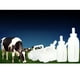 thumbnail image 5 of 1L de leche para terneros manual Tetera Alimentador de destete Granja de ordeño Sunnimix Botella de leche de becerro, 5 of 7