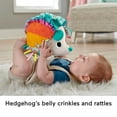 thumbnail image 5 of Fisher-Price Cuddle n' Snuggle Hedgehog Newborn Plush Sensory Toy with Sensory Details for Babies, 5 of 6