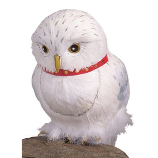 LEGO Harry Potter Hedwig the Owl Figure 75979, Collectible Toy for Fans of  the Harry Potter Movies, Room Décor Model, Birthday Gifts for Kids, Teens,  Girls, and Boys 