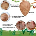 thumbnail image 3 of 6 Pack Wasp Nest Decoy Safe Hanging Wasp Deterrent for Hornets Yellow Jackets, 3 of 7