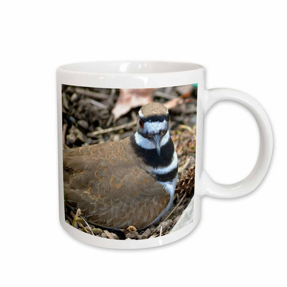 3drose, Brown Birds - Kildeer - Animal Photography - Nature, 15oz Mug