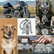 thumbnail image 2 of 2pcs Motorcycle Guardian Bell, Angel Guardian Riding Bell With Chain, Stainless Steel Motorcycle Bells Luck Riding Bell, Motorcycle Accessories Gifts(, 2 of 5