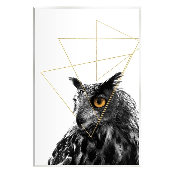 Stupell Industries Contemporary Geometric Owl Shapes Graphic Art Unframed Art Print Wall Art, Design by K. Kaufman