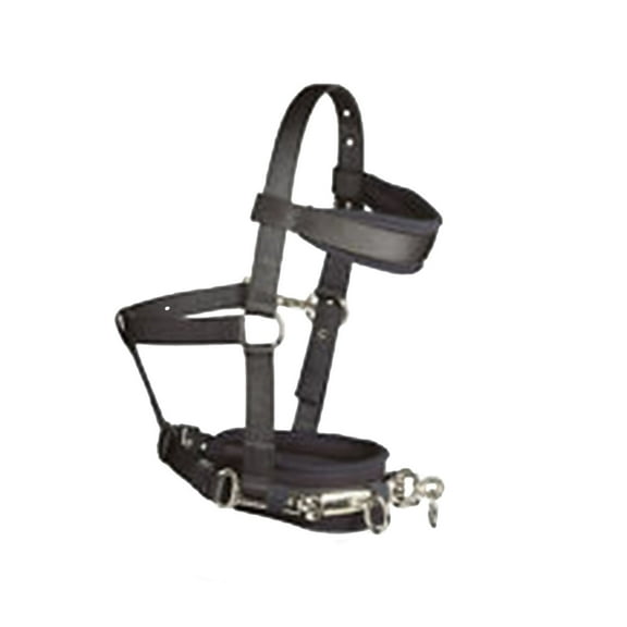 Hy Lunging Lunge Cavesson