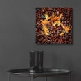 thumbnail image 6 of Epic Art 'Brown Pebbles with Cedar' by Jan Bell Acrylic Glass Wall Art, 12"x12", 6 of 8
