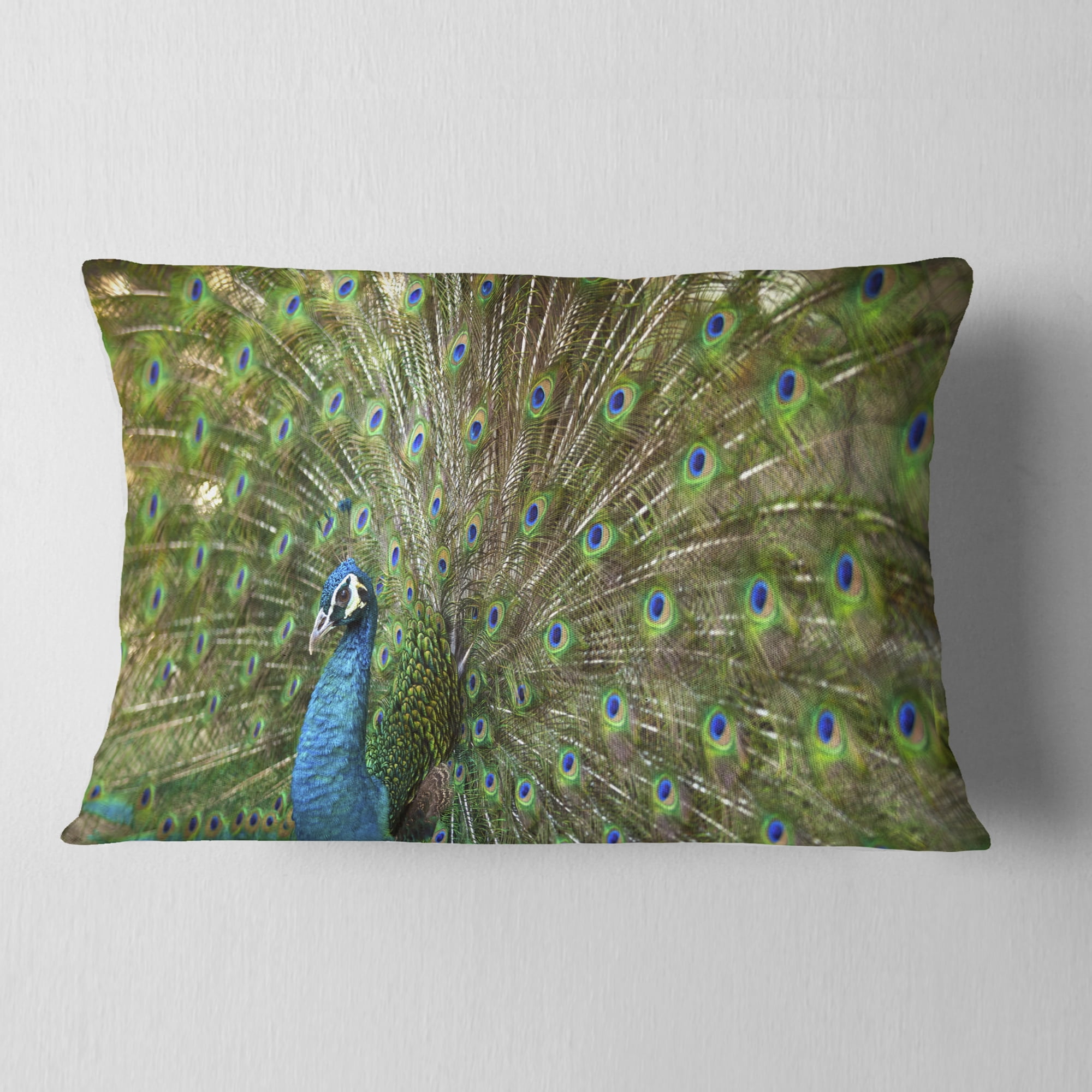 Designart Beautiful Peacock with Feathers - Animal Throw Pillow - 12x20