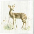 thumbnail image 4 of Great Art Now Meadows Edge on Wood by Danhui Nai 3 Piece Canvas Art Set Each 14W x 14H, 4 of 4