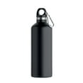 thumbnail image 2 of MidOcean Carabi Bouteille à Double Paroi 500ml, 2 of 3
