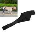 Dog Knee Brace Breathable Supportive Reduce Pain Joint Protection Dog
