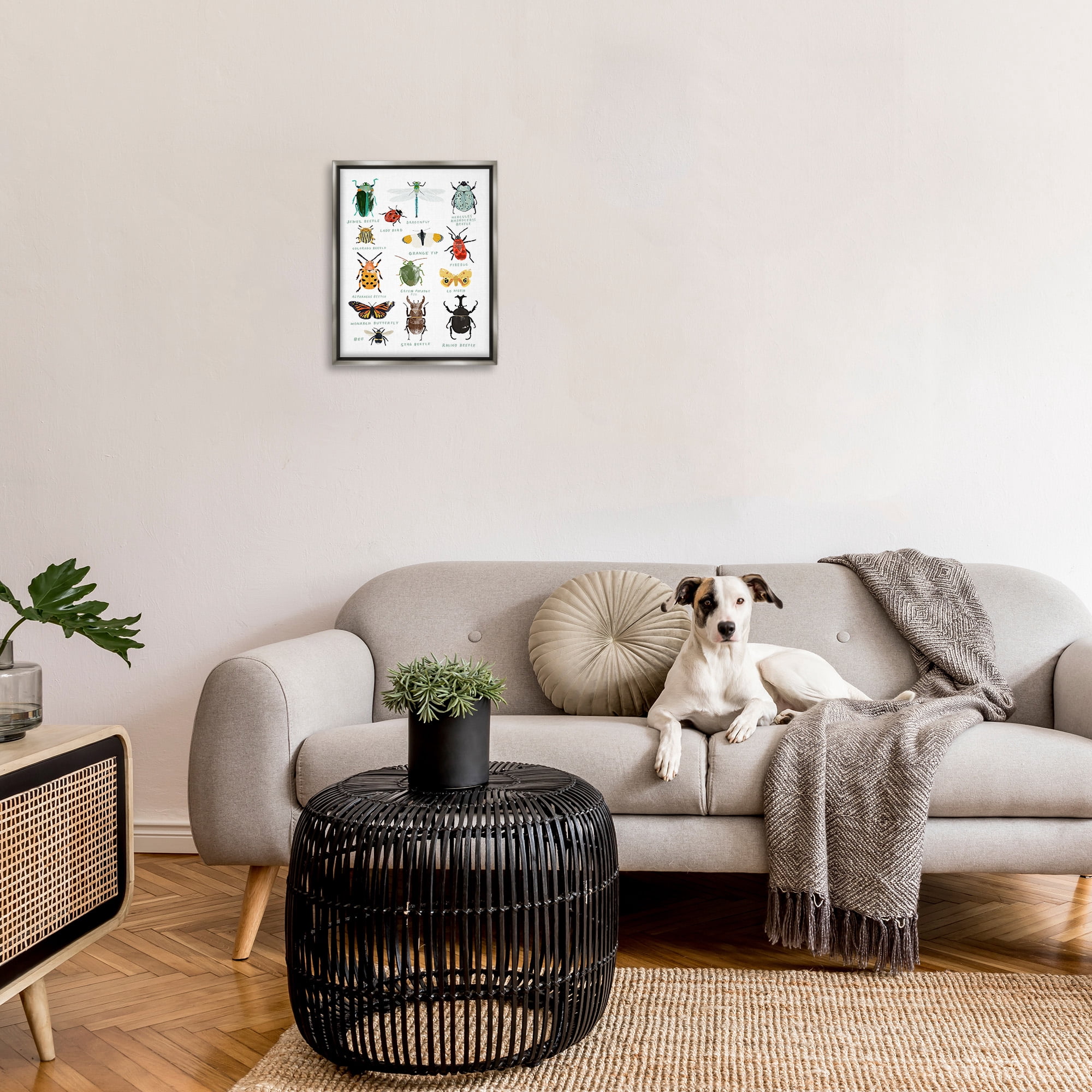 Stupell Industries Educational Bug Types Animals & Insects Painting Gray Floater Framed Canvas Art Print Wall Art, 17 x 21