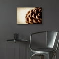 thumbnail image 6 of Epic Art 'Pine Cone' by Jessica Rogers, Acrylic Glass Wall Art, 24"x16", 6 of 8