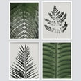 thumbnail image 4 of PixonSign Framed Wall Art Green Forest Fern Tree Leaf Prints, Set of 4 Plant Landscape Wall Decor Arts, Nature Floral Wall Décor, Adhesive Canvas Poster, Modern Home Artwork - 12"x16" White, 4 of 5