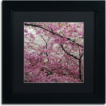 Trademark Fine Art "Cherry Blossoms 2014-3" Canvas Art by CATeyes, Black Matte, Black Frame