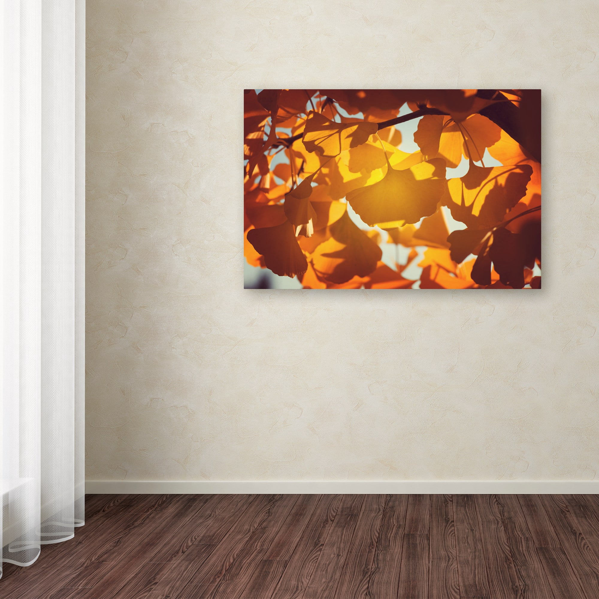 Trademark Fine Art "Ginkgo Leaves" Canvas Art by Philippe Sainte-Laudy