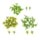 thumbnail image 1 of 100 piezas de césped en miniatura para modelismo, decoración de paisaje verde a escala Estilo B, 1 of 9