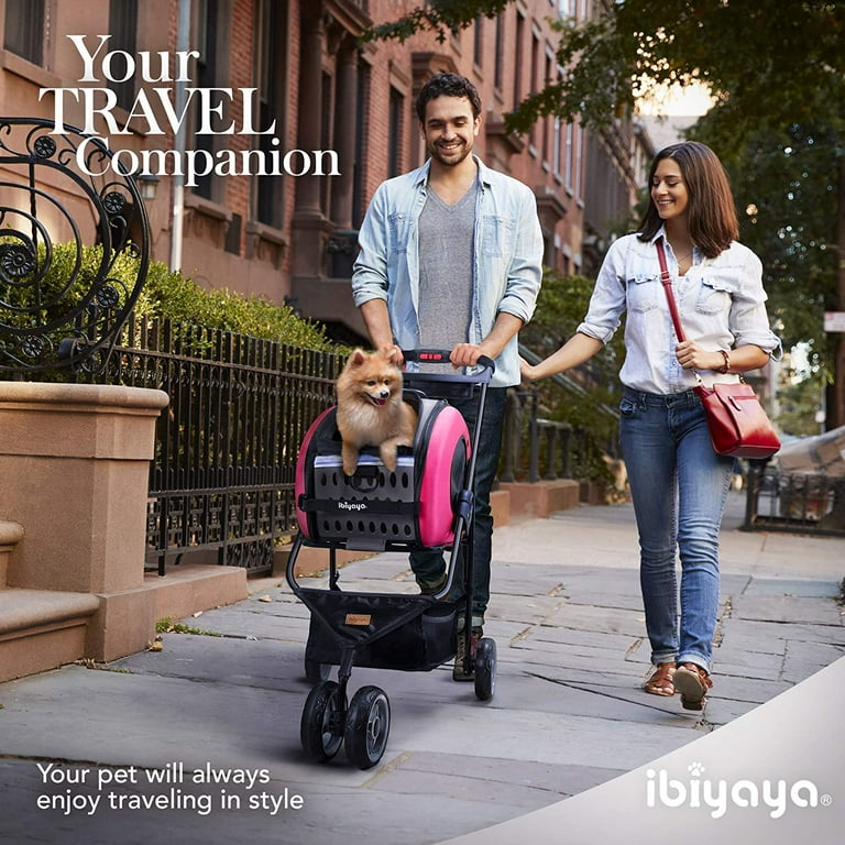 Ibiyaya carrier outlet