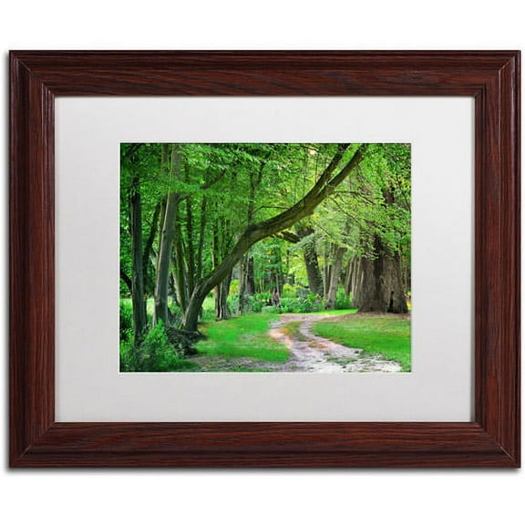 Trademark Fine Art "Intimate Landscape" Canvas Art by Philippe Sainte-Laudy, White Matte, Wood Frame