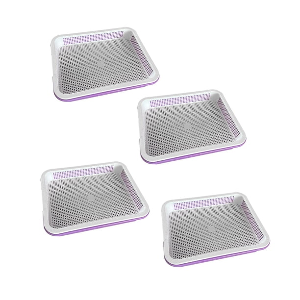 Bandeja Germinadora de Semillas Zulema Violeta 4 Uds