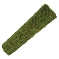 thumbnail image 4 of Galapagos Reptile Terrarium Mossy Crash Pad, 18" x 36" Header Pouch, 4 of 8