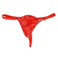 thumbnail image 3 of Clearance 2024!Underwear Bikini Men's Lace Mesh Pouch Thong T-back Lingerie Panty Brief Panties, 3 of 6