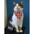 thumbnail image 2 of Lovely Black Cats Bandana  -Image by Shutterstock,  Small, 2 of 4
