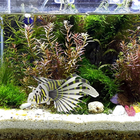 COOPHYA Realistic Lionfish Aquarium Decor Black Silicone Fish Landscaping Ornament