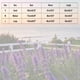 thumbnail image 3 of Ailaofu Womens Fall Winter Casual Sweater Cute Bow Crewneck Long Sleeve Baggy Knit Sweatshirt Top Trendy Aesthetic Clothes, 3 of 6