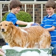 thumbnail image 2 of Pet Bath Brush Glove for Dogs - Rubber Grooming and Massaging Tool, Removes Loose Hair and Stimulates Skin, Leaves Fur Soft and Shiny, Easy to Use for Left or Right Hand, 2 of 6