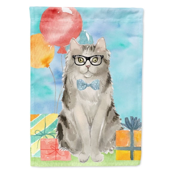 Carolines Treasures CK3171CHF Ragamuffin Happy Birthday Flag Canvas House Size  Large multicolor