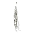 thumbnail image 1 of Vickerman FI190687 Arbuste Succulent Traînant Gris de 37 Po, 1 of 3