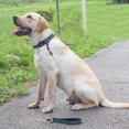thumbnail image 4 of TopOne Pet Traction Rope Reflective Strip Design Anti-bite Steel Wire Walking Dog Belt Leash, 4 of 8