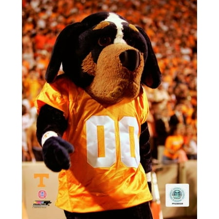 smokey university of tennessee