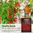 thumbnail image 3 of Survival Garden Seeds - 1 Packet Cayenne Pepper Seed - Non-GMO Heirloom Full Sun Annual Vegetable, 3 of 8