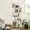 White, variant on Wooden 5-Tier Bookcase Storage Shelf Display Shelf and Room Divider Freestanding Greige