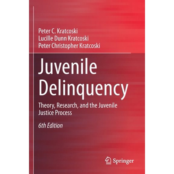 Pre-Owned Juvenile Delinquency: Theory, Research, and the Juvenile Justice Process (Paperback) 3030314545 9783030314545