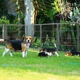 thumbnail image 3 of FXW Aster Dog Playpen Designed for Courtyard, RV Camping, 32" 16 Panels for Medium Dogs, Silver, 3 of 8