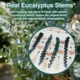 thumbnail image 3 of Real Eucalyptus Wall Decor with Natural Seashell Beach Decor Coastal Home Decorations with Fresh Eucalyptus Stems Hanging Wooden Bead Garland for Large Bedroom Bathroom Living Room 32 x 32 Inch, 3 of 7