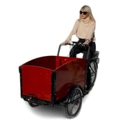 Dutch-Style Electric Cargo Tricycle | 500 W Motor, Pedal Assist & Throttle Modes