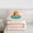 Capybara 02, variant on Erosebridal Kids Kawaii Capybara With Fruit Orange Twin Comforter Sets 3-Piece,Boys Girls Floral Cherry Blossoms Bedding SetPink Reversible