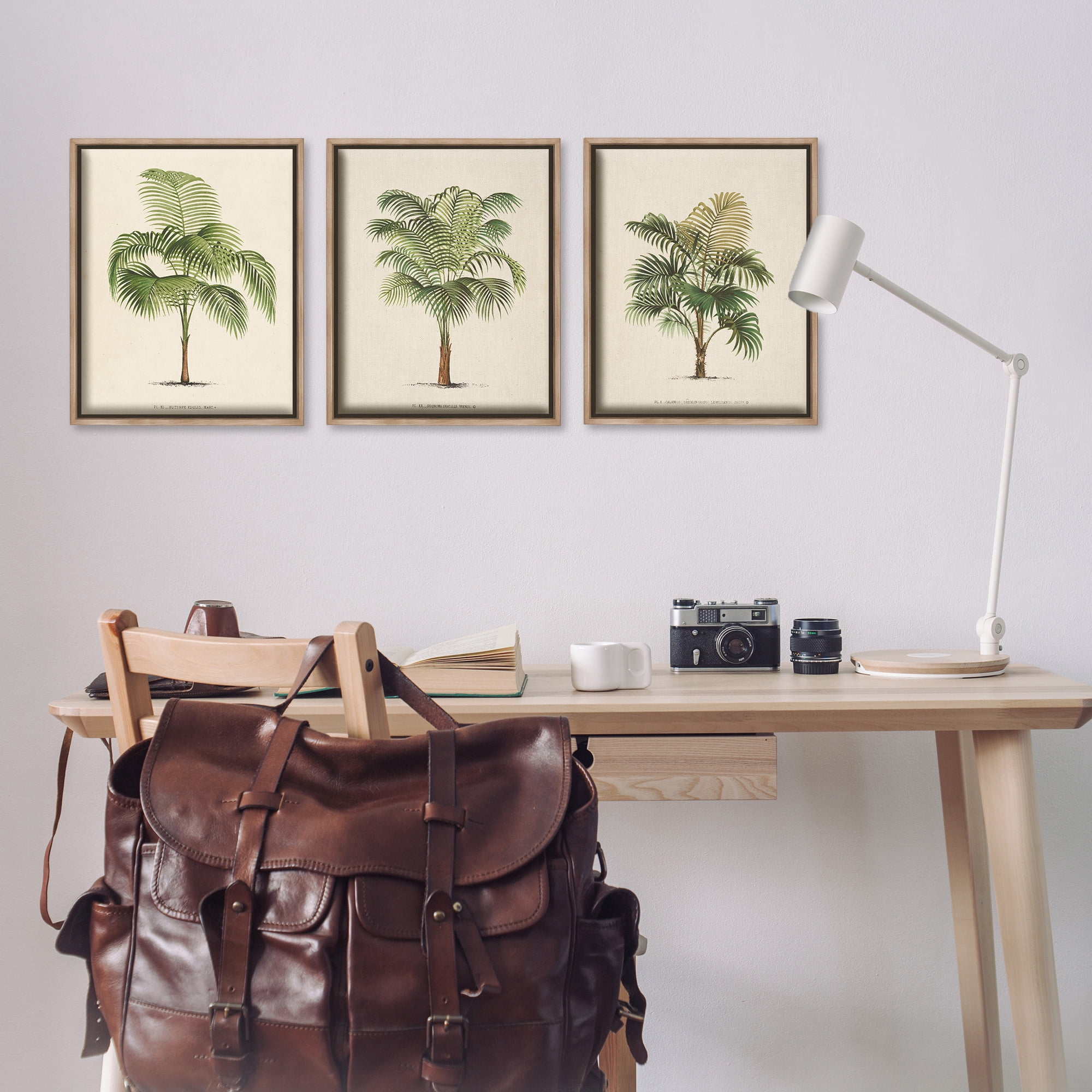 Stupell Industries Les Palmiers Botanical Trio Botanical & Floral Painting Brown Floater Framed Canvas Art Print Wall Art, 17 x 21, Set of 3