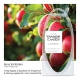 thumbnail image 2 of Yankee Candle Macintosh Wax Melts, 2 of 4