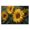 Sunflowers For The Soul_v1, variant on Stupell Industries Transitional Beauty of the Red Blossom Canvas Art, 24 x 16, by Lanie Loreth