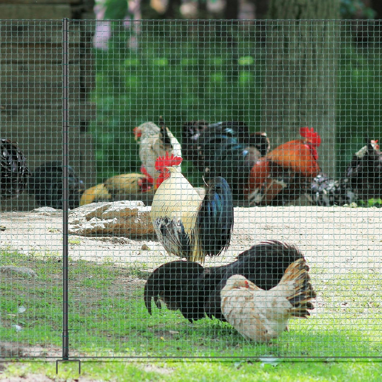 Non Electric Fence Netting for Livestock, 40" x164' Portable Poultry Nets Mesh for Chickens, Goats, Sheep, Dog, All-Purpose Fencing for Backyards, Homesteaders, Farms Ranches, and Gardens