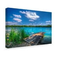 thumbnail image 2 of Trademark Fine Art 'Sunny Day Coastline' Canvas Art by Philippe Sainte-Laudy, 2 of 4