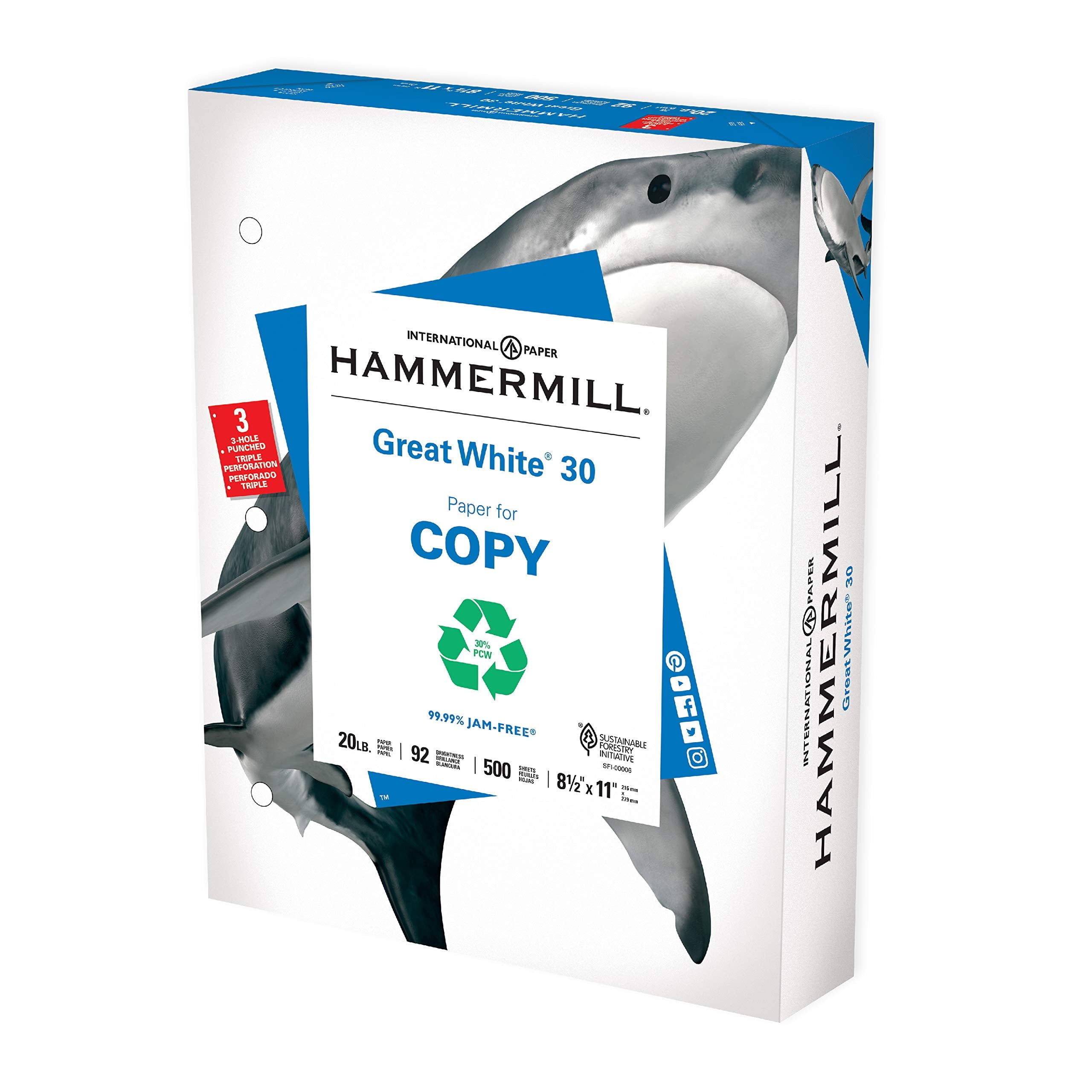 Hammermill Great White Copy & Multipurpose Paper, White, Recycled