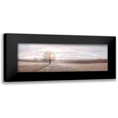 Frank Assaf 14x7 Black Modern Framed Museum Art Print Titled - Trees in meadow