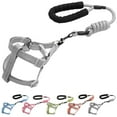 thumbnail image 2 of Pet Harness Leash Set Adjustable Foam Handle Car Harness Dog Harness with Leash, 2 of 8